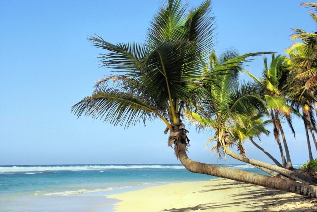 La Guadeloupe destination soleil en décembre