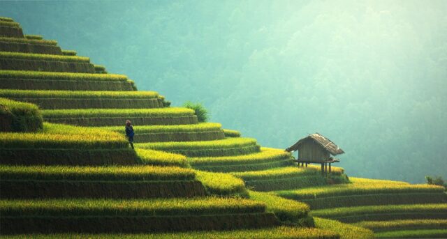 Paysages à Bali