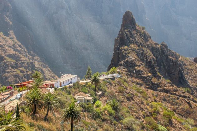 Paysage naturel de Tenerife