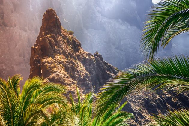 Paysage naturel sur l'île de Tenerife