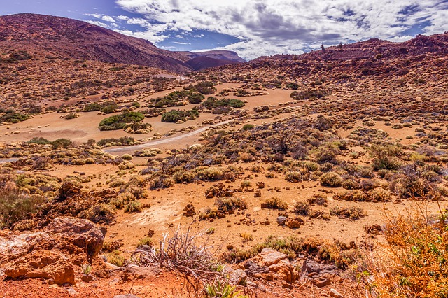 que faire a tenerife en avril