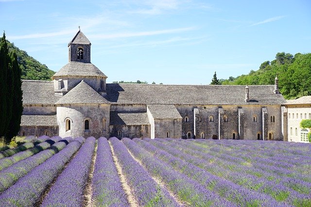 Lavande abbaye en Provence