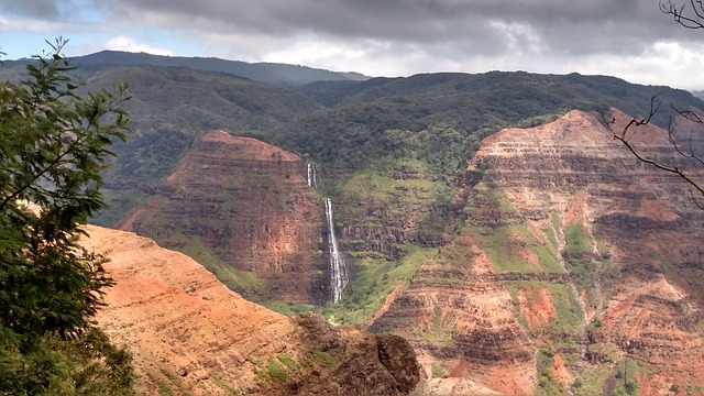 polynesie ou hawai