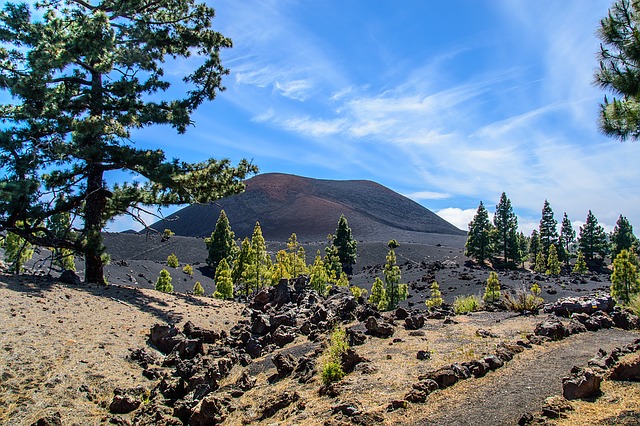 fuerteventure ou tenerife quelle ile choisir