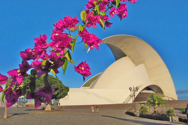 tenerife en automne