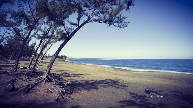 partir a la reunion en fevrier avis