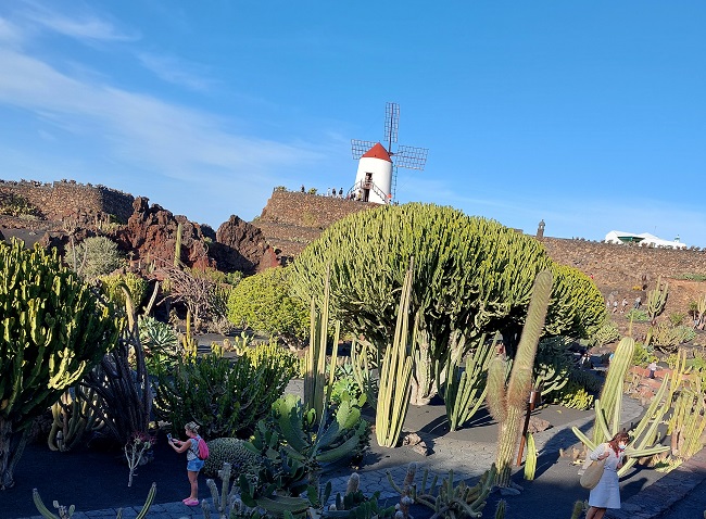 meilleurs endroits lanzarote