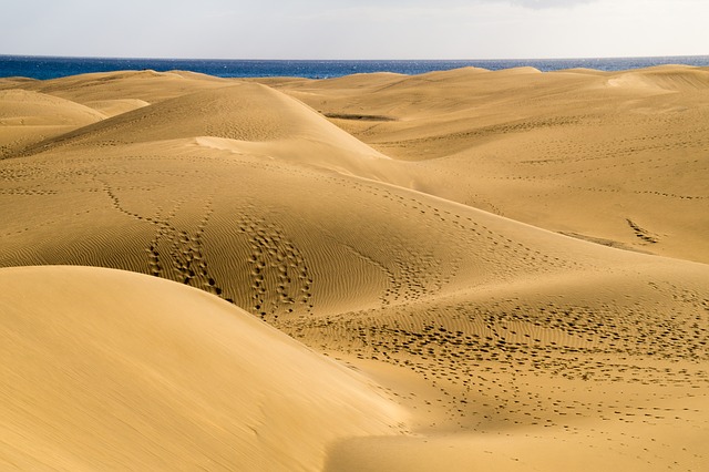 Dunes de Fuerteventura