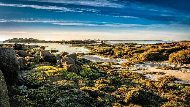 ou partir en Bretagne entre amis