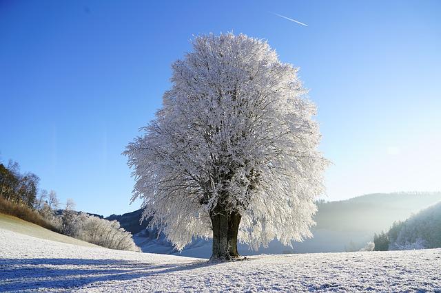 jura nature