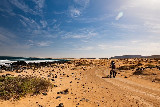 Balade à vélo dans les paysages naturels des Canaries