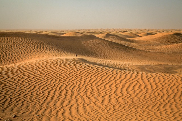 Désert en Tunisie