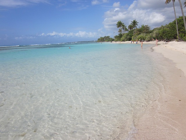 baignade guadeloupe janvier