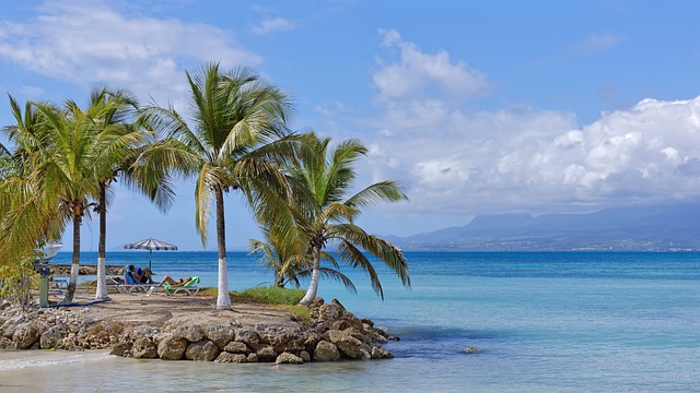 guadeloupe debut janvier