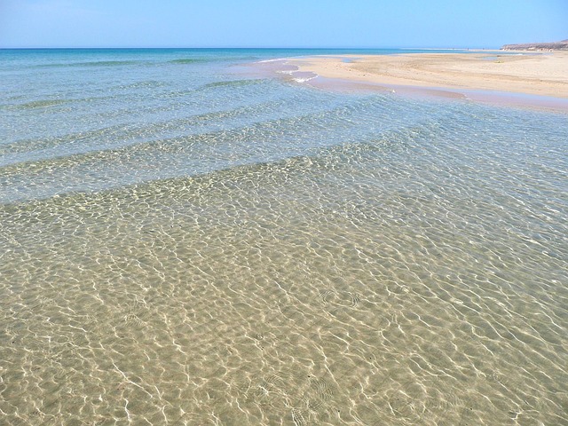 baignade canaries janvier