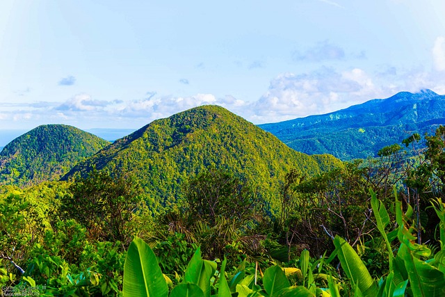 meteo guadeloupe janvier