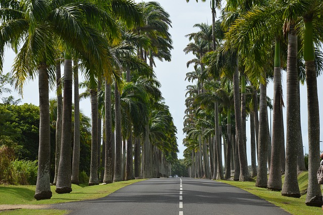 temperature guadeloupe janvier