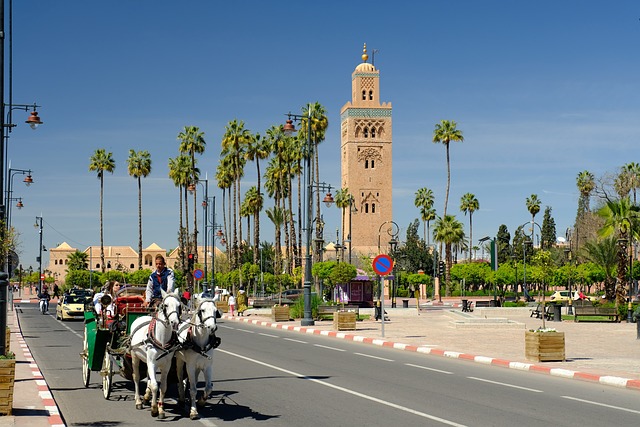 température marrakech février