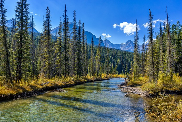 Où partir en famille cet été au Canada