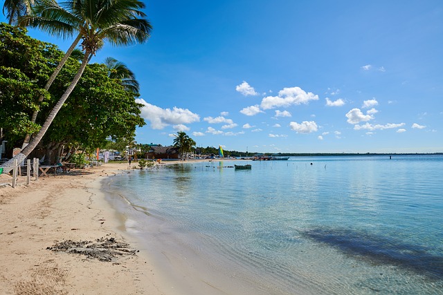 voyage republique dominicaine janvier 2024