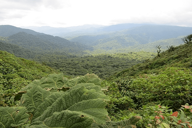 Où partir au Costa Rica cet été