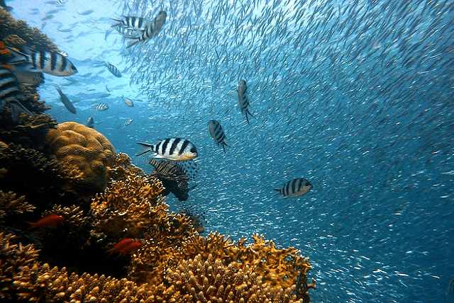 où aller au Costa Rica