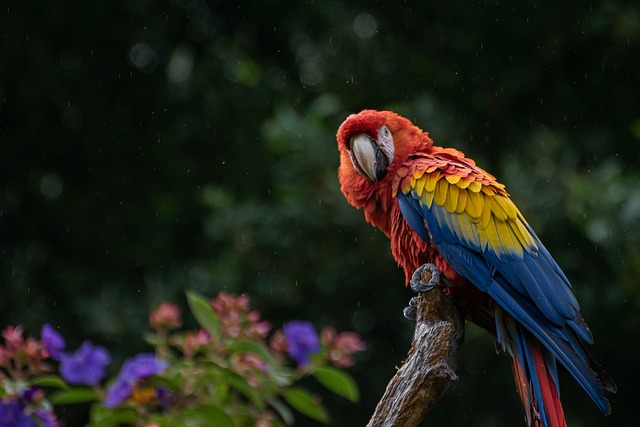 destinations du Costa Rica