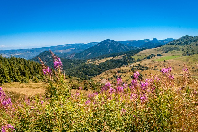 Destinations de France d'automne nature 