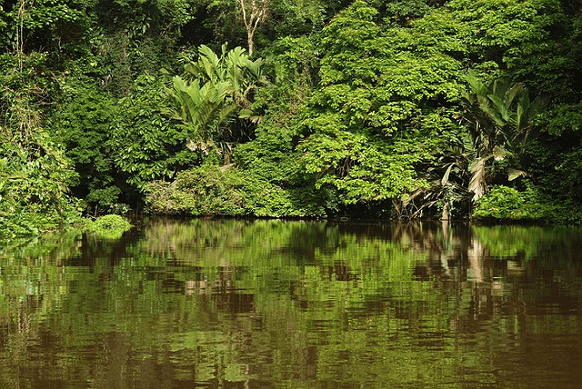 Voyage nature au Costa Rica 