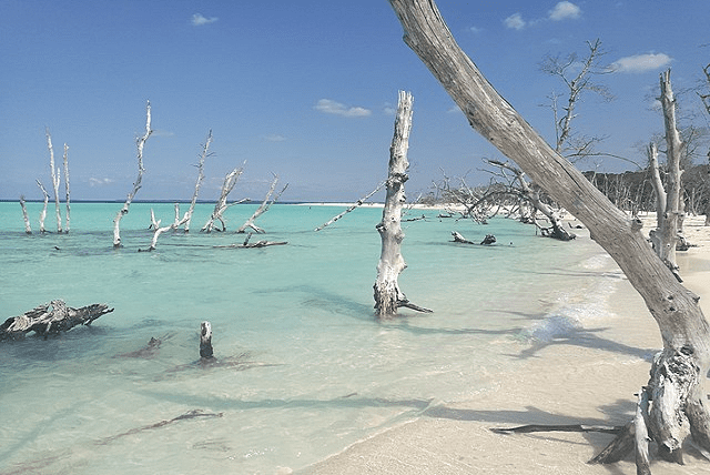 Les îles de Cuba à découvrir