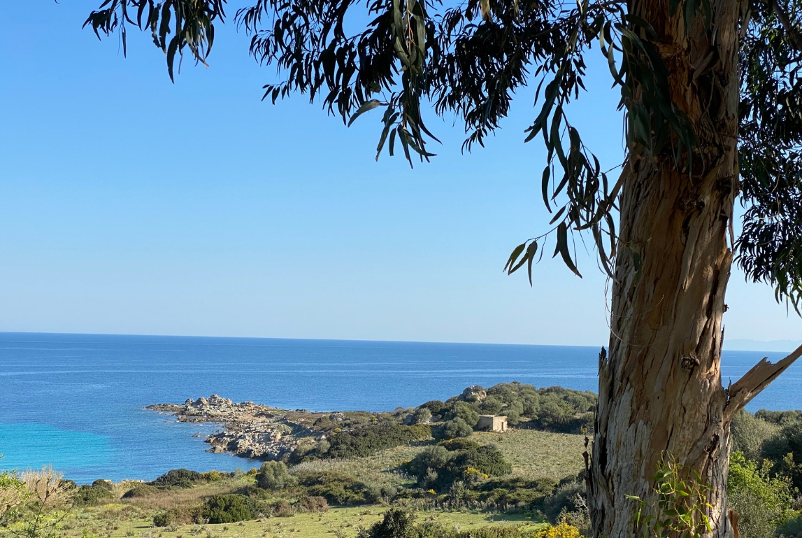 Le sentier des Douaniers