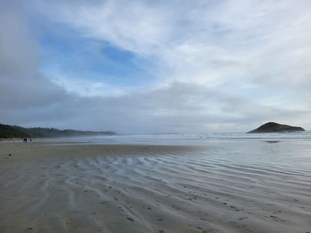 Tofino