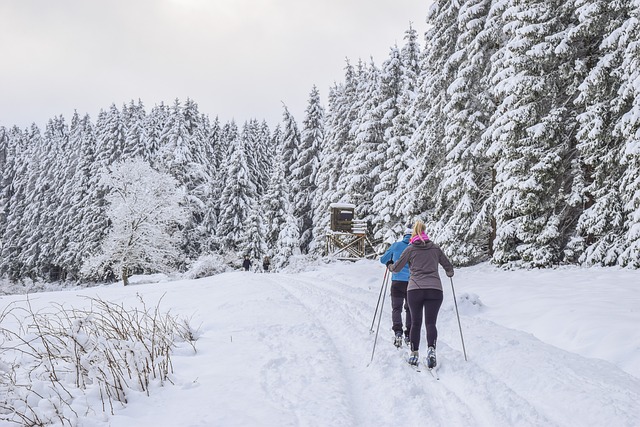 Ski de fond