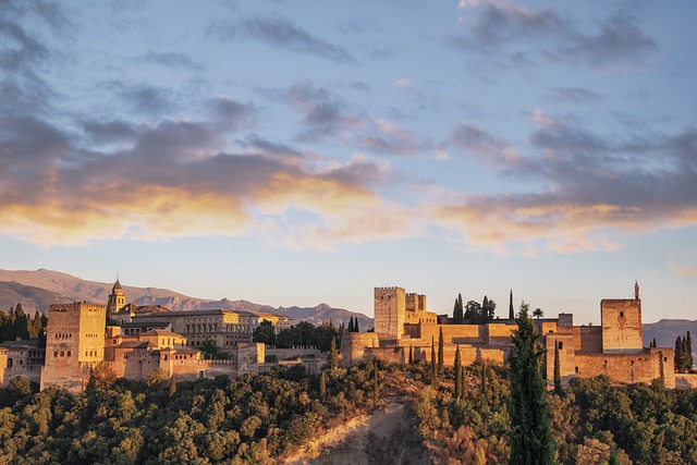 Vue sur l'Alhambra de Grenade