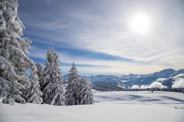 La neige en Savoie