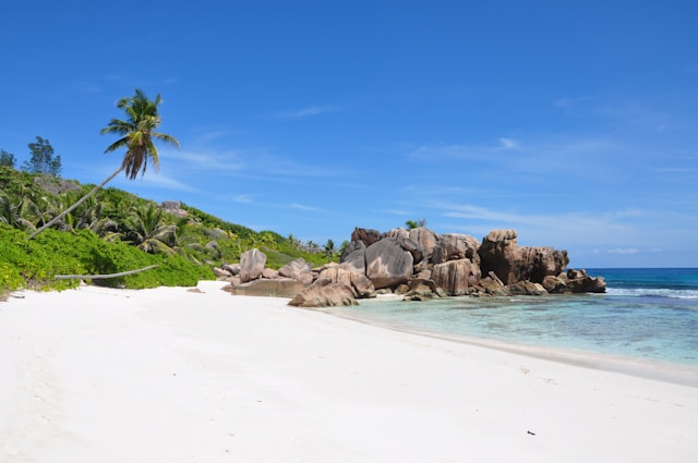 Plage de sable blanc aux Seychelles