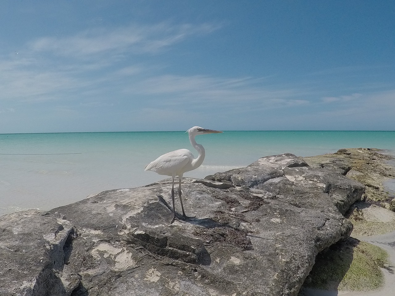découvrez holbox, une île paradisiaque au mexique, connue pour ses plages de sable blanc, sa faune marine exceptionnelle et son ambiance paisible, idéale pour des vacances inoubliables.