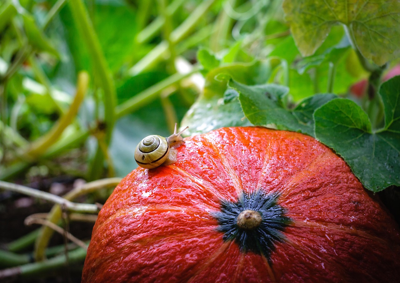 découvrez le slow travel, une approche de voyage qui privilégie la découverte en profondeur, la lenteur et l'immersion locale pour vivre des expériences authentiques et durables.