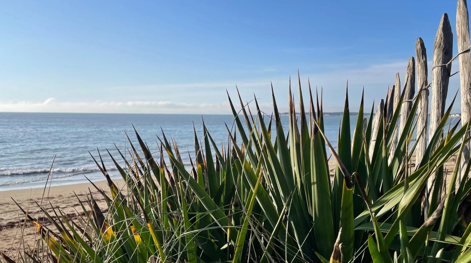 plage en Vendée