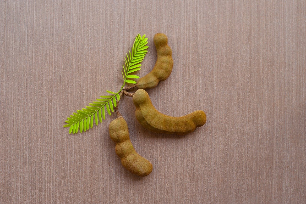 découvrez le tamarindo, un fruit tropical au goût unique, riche en bienfaits pour la santé et parfait pour vos recettes sucrées ou salées.