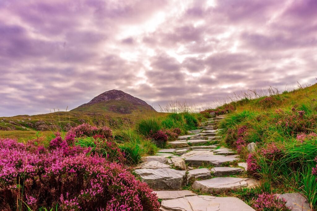 découvrez les meilleures saisons pour visiter l'irlande et profiter pleinement de ses paysages magnifiques, son climat agréable et ses festivals uniques.