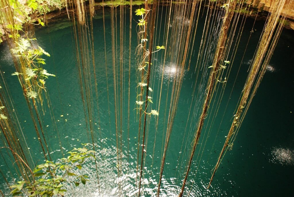 découvrez les cenotes, des merveilles naturelles d'eau douce, idéales pour la baignade, la plongée et l'exploration au cœur de la nature.