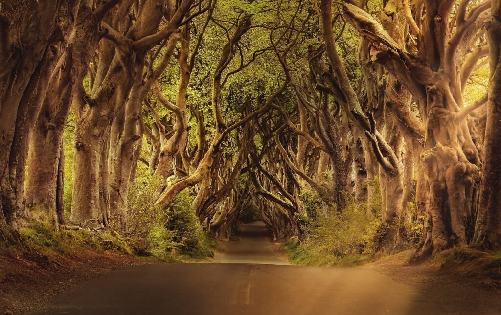 découvrez un itinéraire idéal pour un road trip en irlande, alliant paysages époustouflants, sites historiques et charmants villages à explorer.
