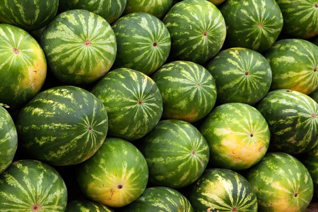 découvrez rosas market, votre destination incontournable pour des produits frais, locaux et de qualité. profitez d'une large sélection pour toutes vos envies culinaires.