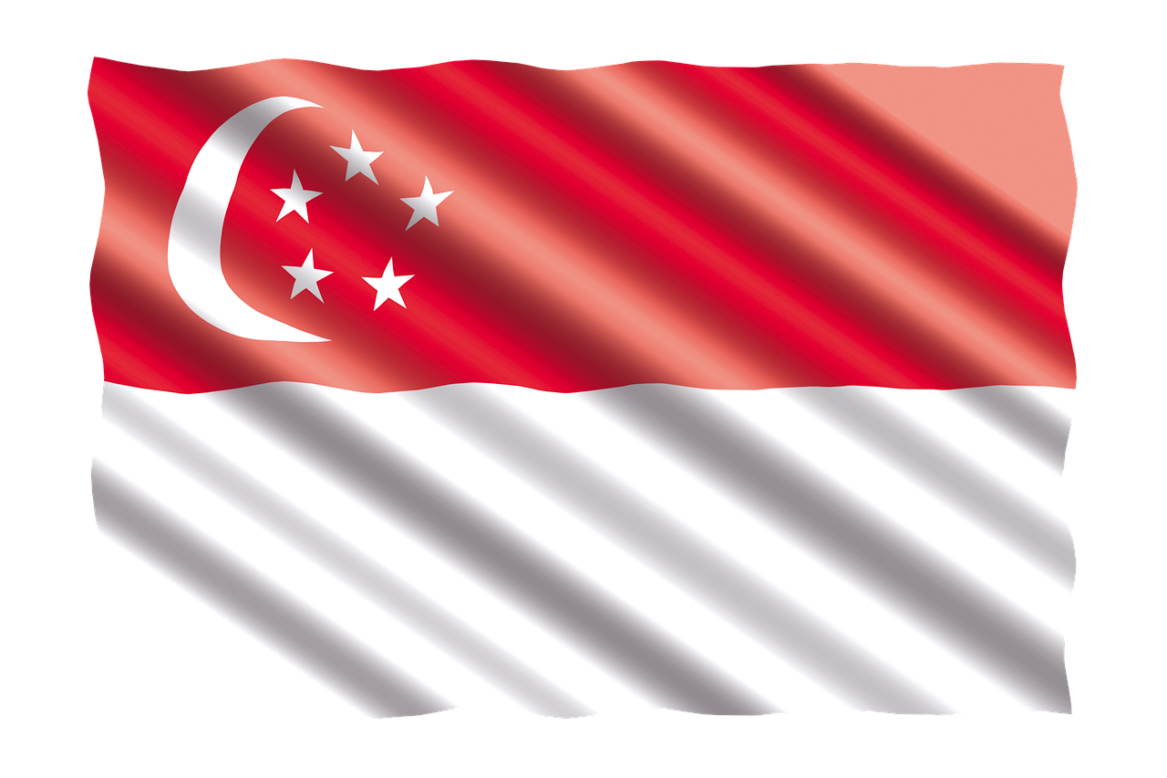 découvrez singapour, une ville-état moderne alliant cultures variées, architecture futuriste et merveilles naturelles. explorez ses attractions incontournables, sa gastronomie riche et son ambiance dynamique.