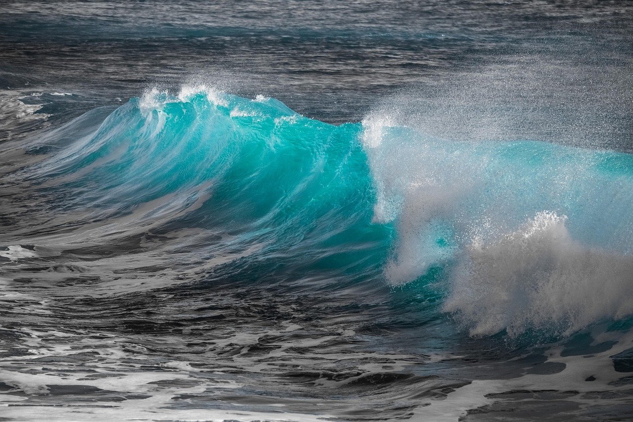 découvrez les sensations uniques du surfing, apprenez les meilleures techniques et explorez les spots incontournables pour tous les passionnés de ce sport de glisse.