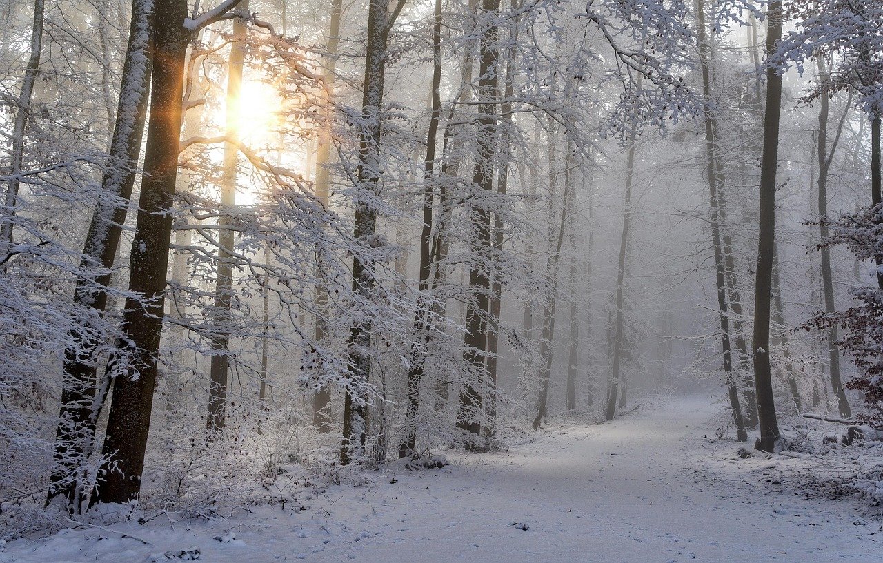 découvrez les meilleures destinations ensoleillées pour profiter de l'hiver au chaud et échapper au froid avec nos conseils de voyage incontournables.