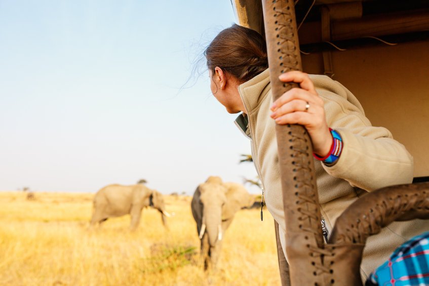 Voyage nature : comment préparer une expérience immersive au plus près de la faune ?