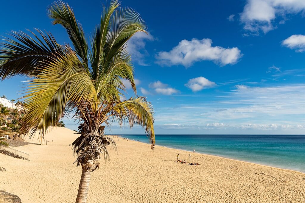 Voyage à Fuerteventura en décembre : mon guide complet ! Voyage à Fuerteventura en décembre : mon guide complet !